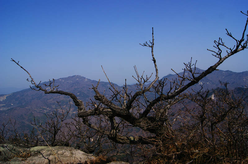 dsc06838.jpg