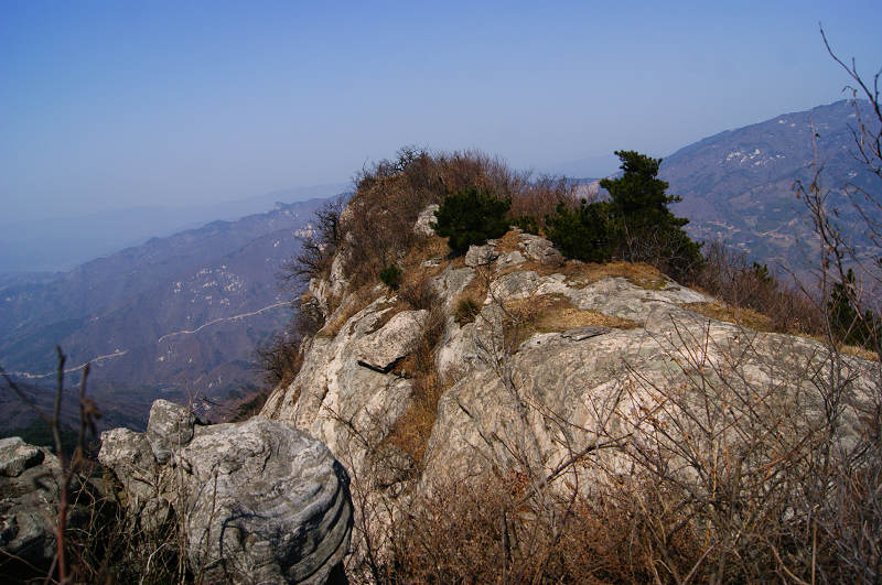 dsc06890.jpg