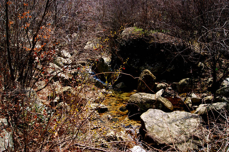 dsc06921.jpg