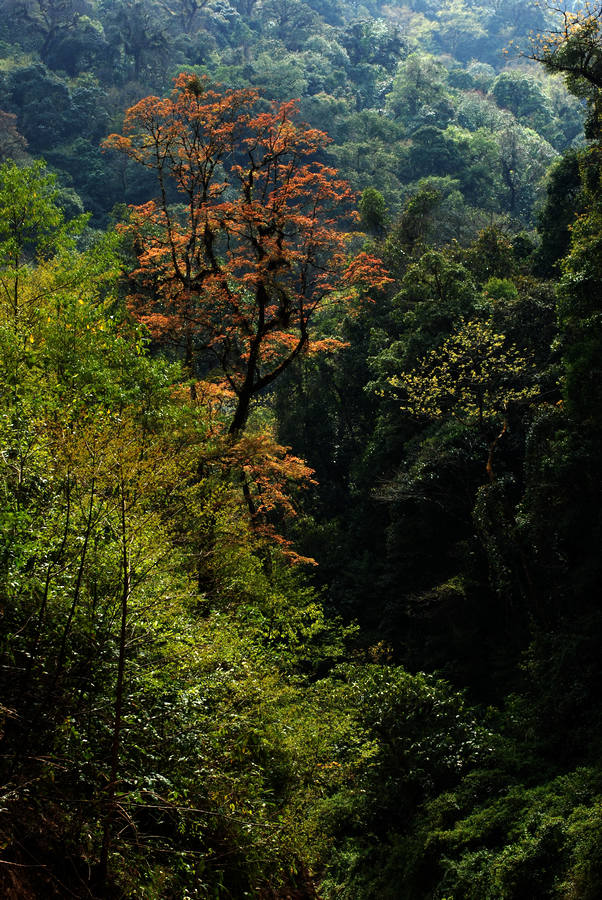 dsc_1315.jpg