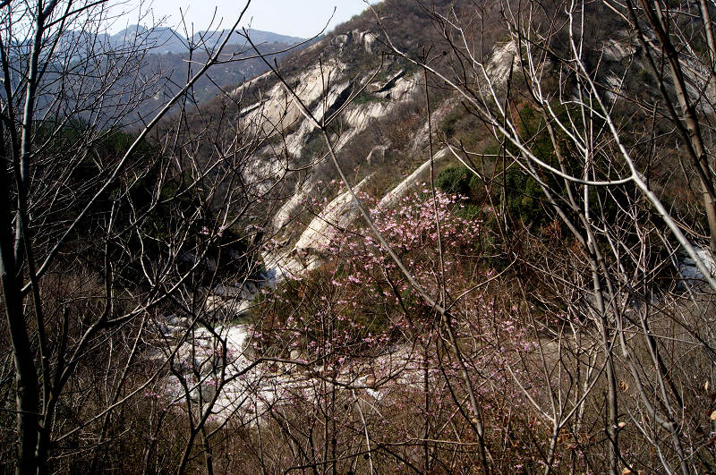 dsc07009.jpg