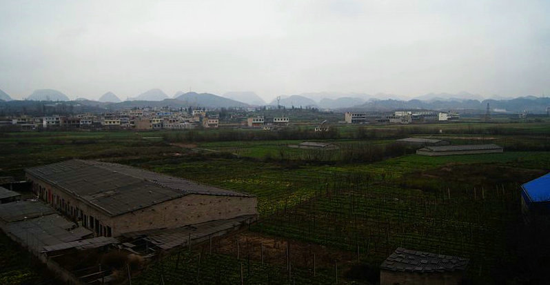 dsc08768.jpg