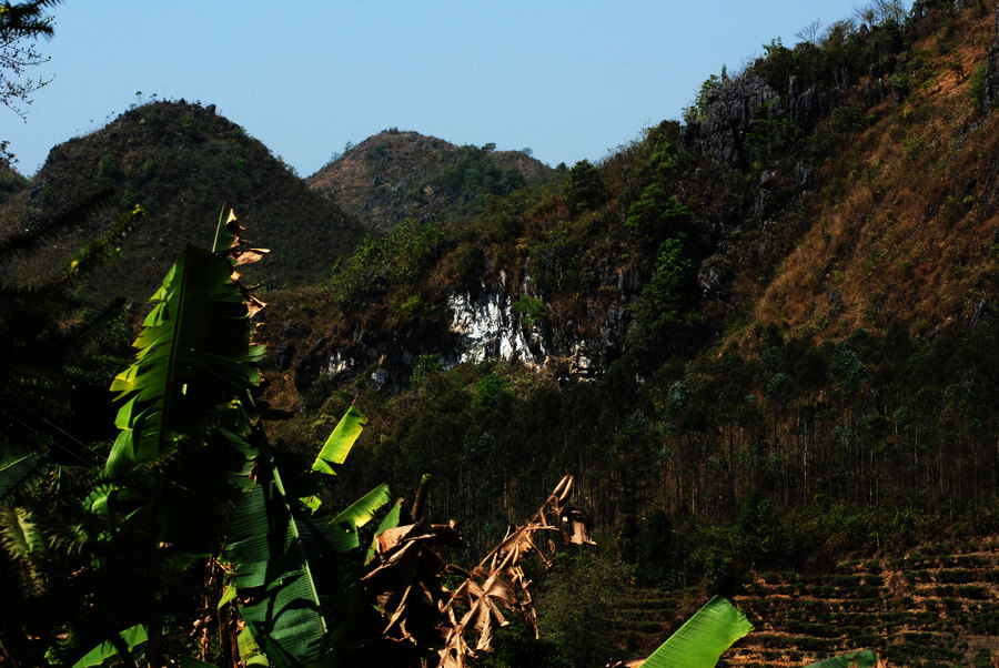 dsc_1763.jpg