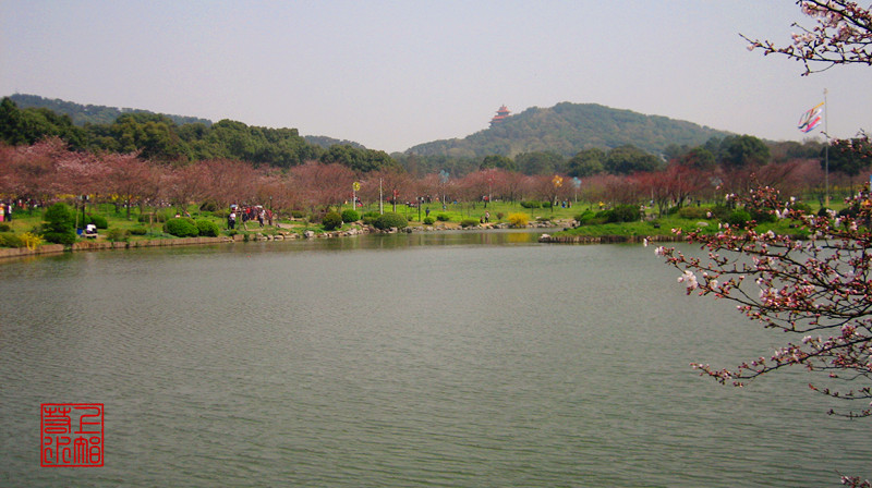 img_9910_1.jpg