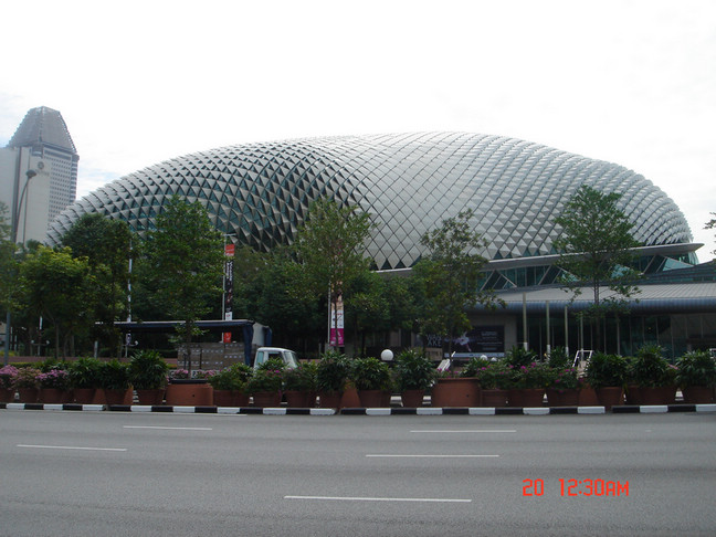 dsc09542.jpg