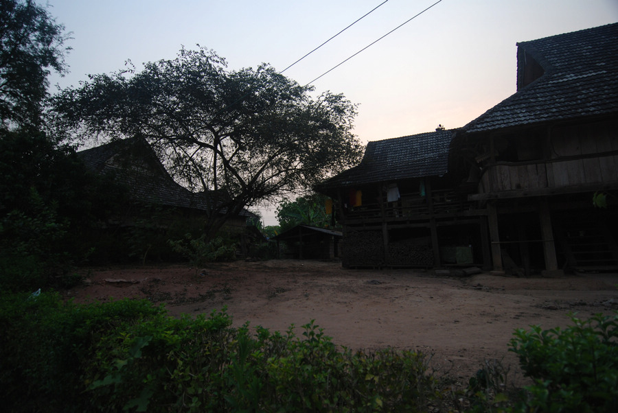 dsc_0486.jpg
