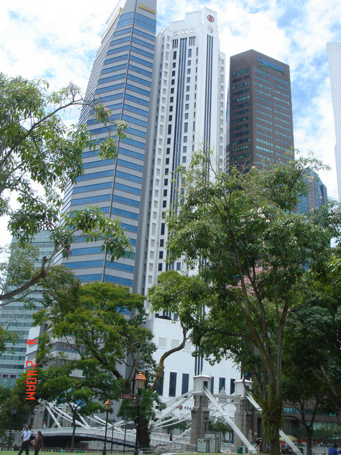 dsc09733.jpg