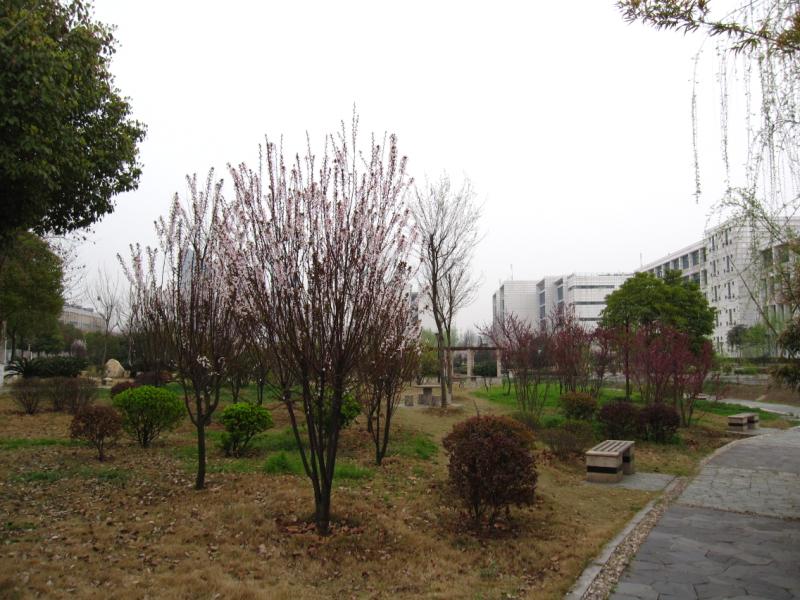  005.jpg