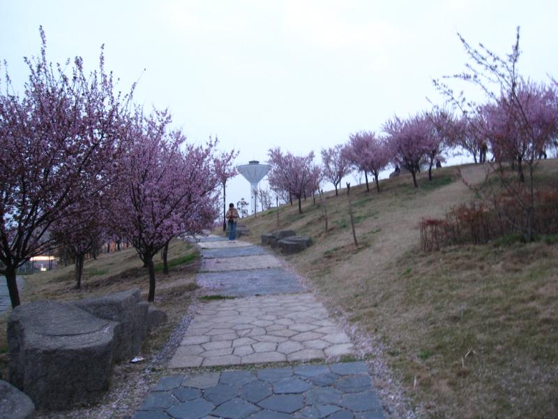  104.jpg