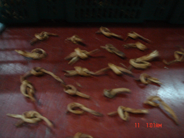 dsc09448.jpg