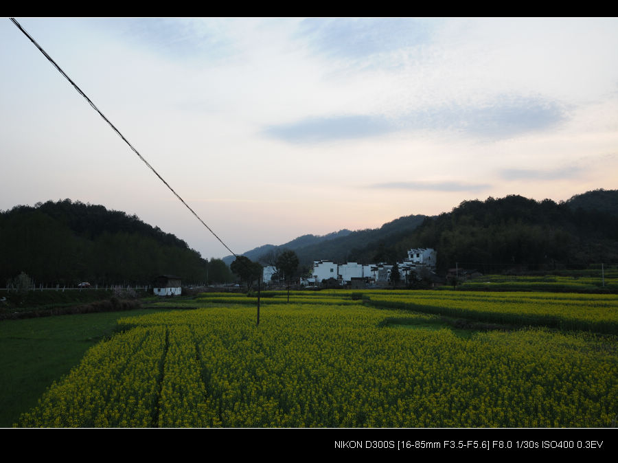 neo_img_dsc_9409.jpg
