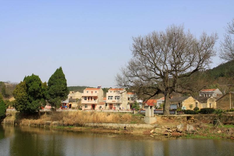 56.jpg