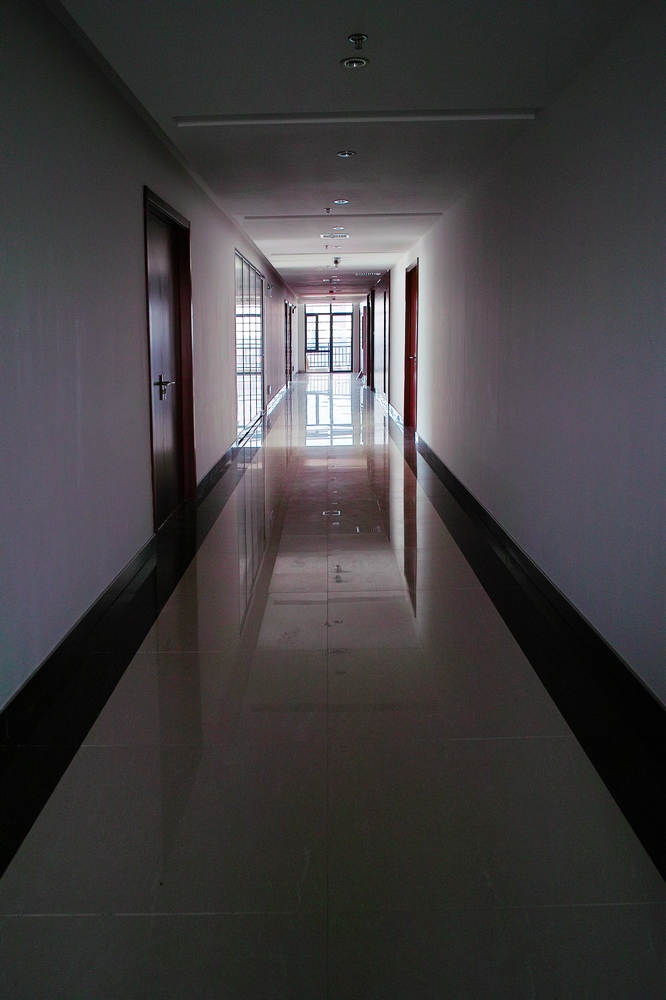sdim2287.jpg