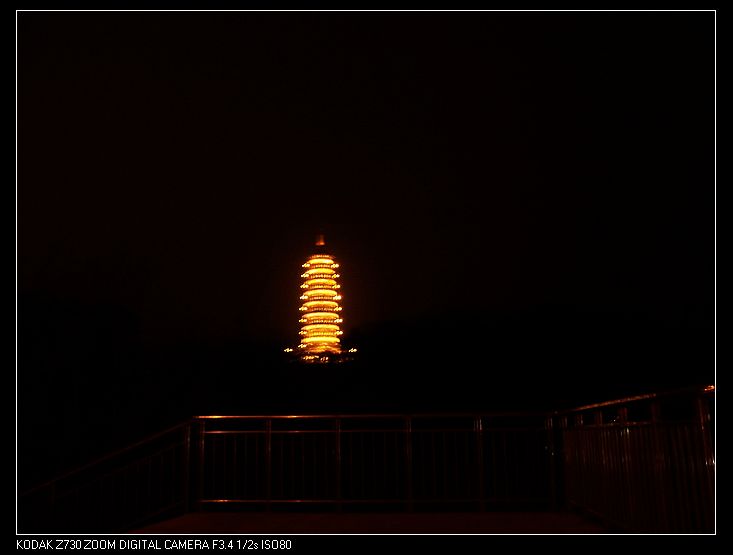 2012-2-13ع 130.jpg
