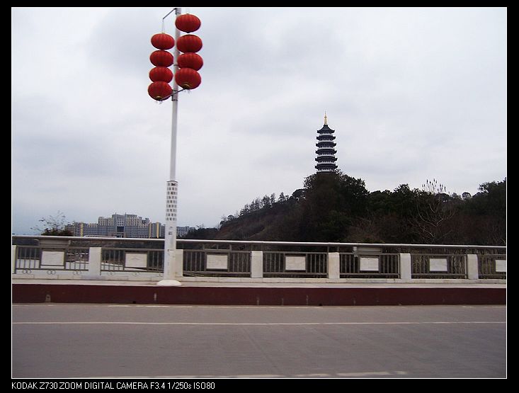 2012-2-13ع 134.jpg