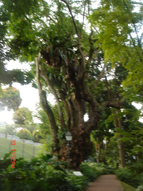 dsc09431.jpg