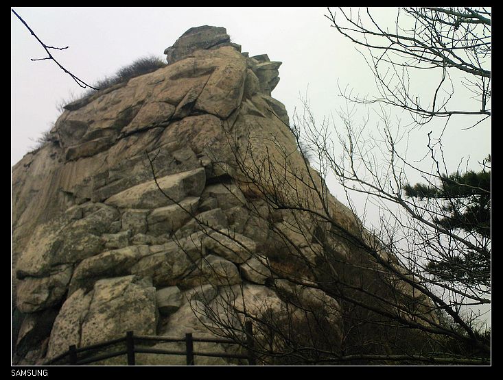 Ƭ-0017(3).jpg
