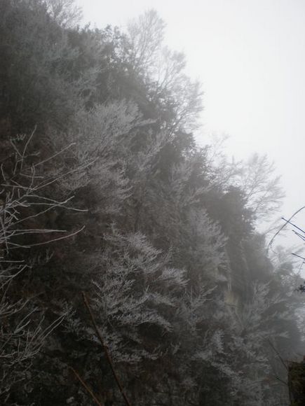 p2250015.jpg