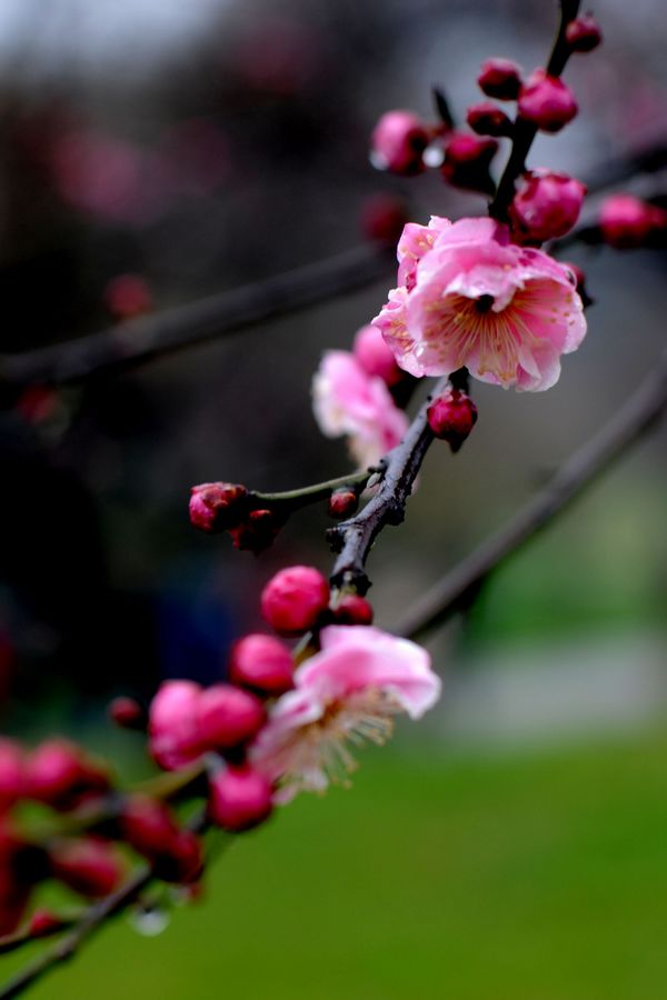 neo_img_dsc_8766.jpg