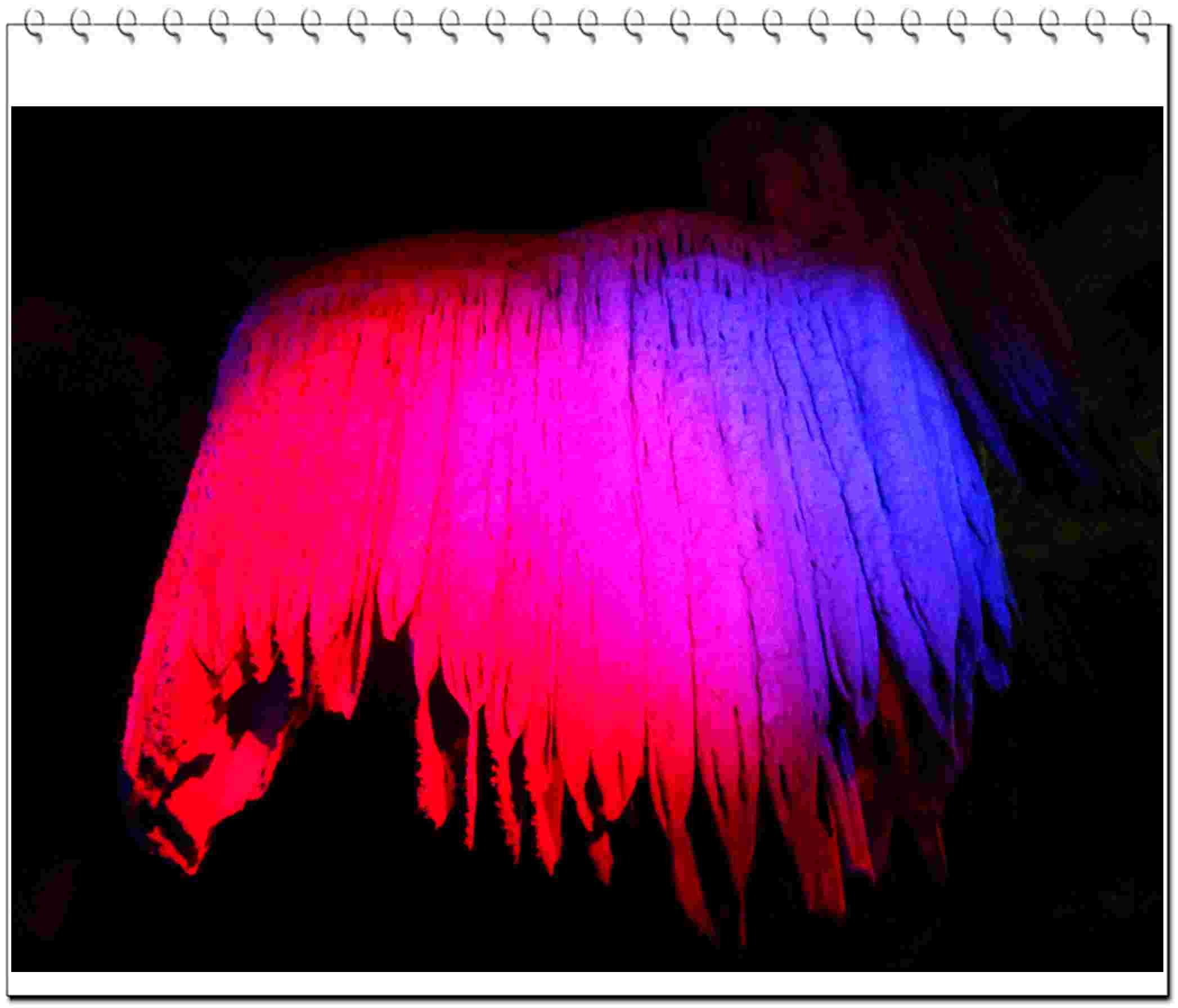 dscn0578.jpg
