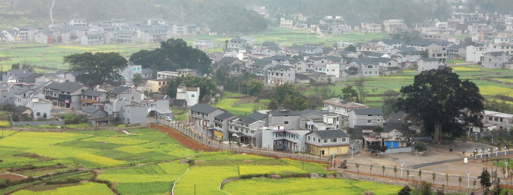 ڲ.jpg