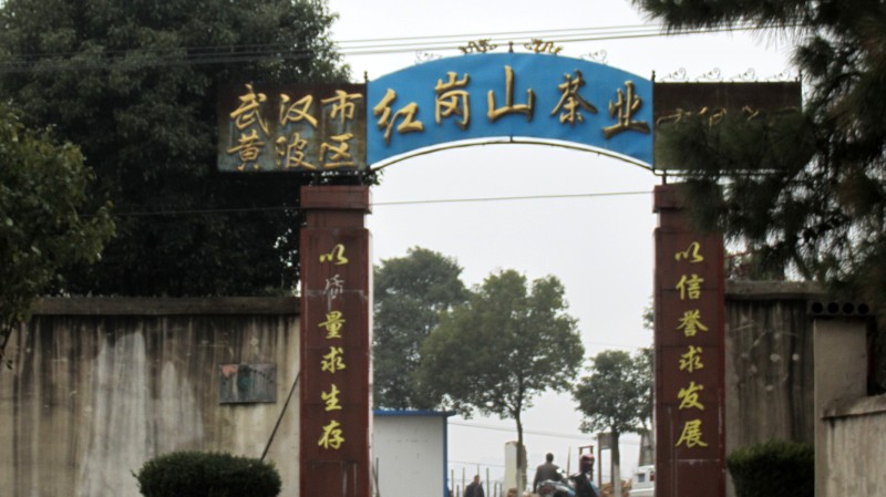 conew_img_36551.jpg