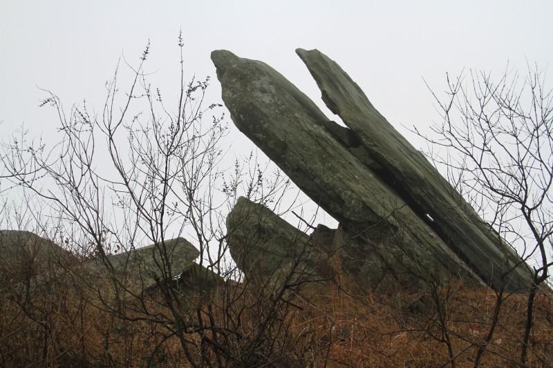 conew_img_3557.jpg