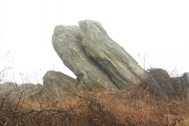 conew_img_3558.jpg