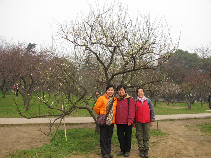 img_4052_.jpg