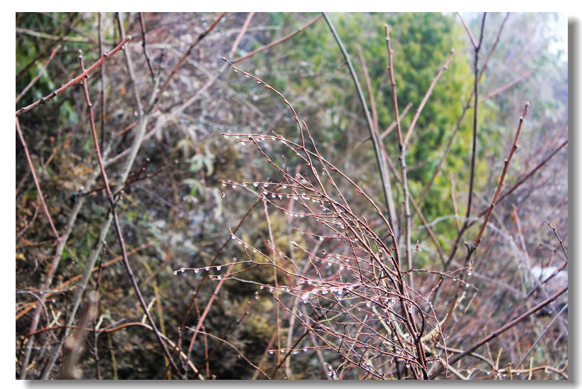 20111127 025.jpg