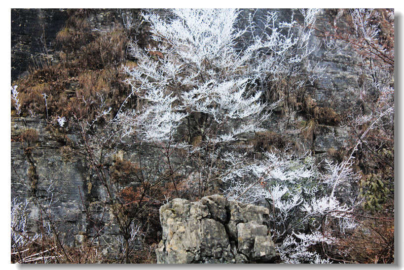20111127 027.jpg