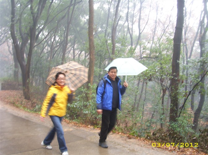 psbcacv7upn.jpg