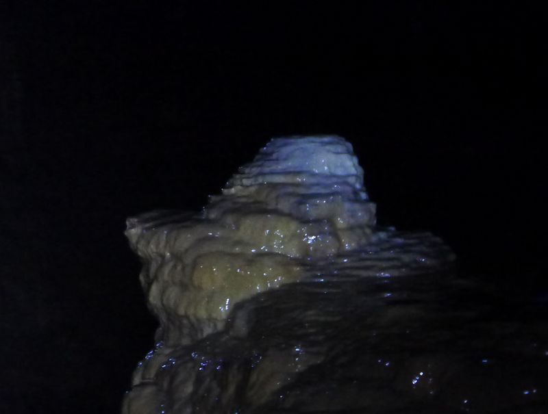 p1190201.jpg