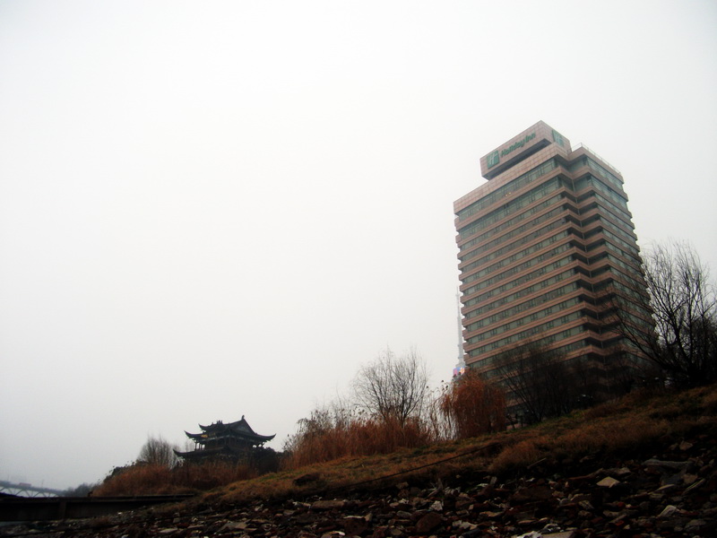 dscf0203.jpg