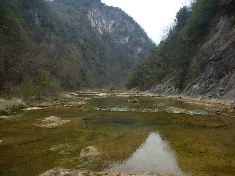 p1110111_.jpg