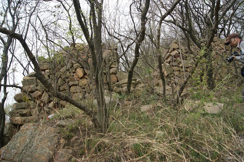 dsc08506.jpg