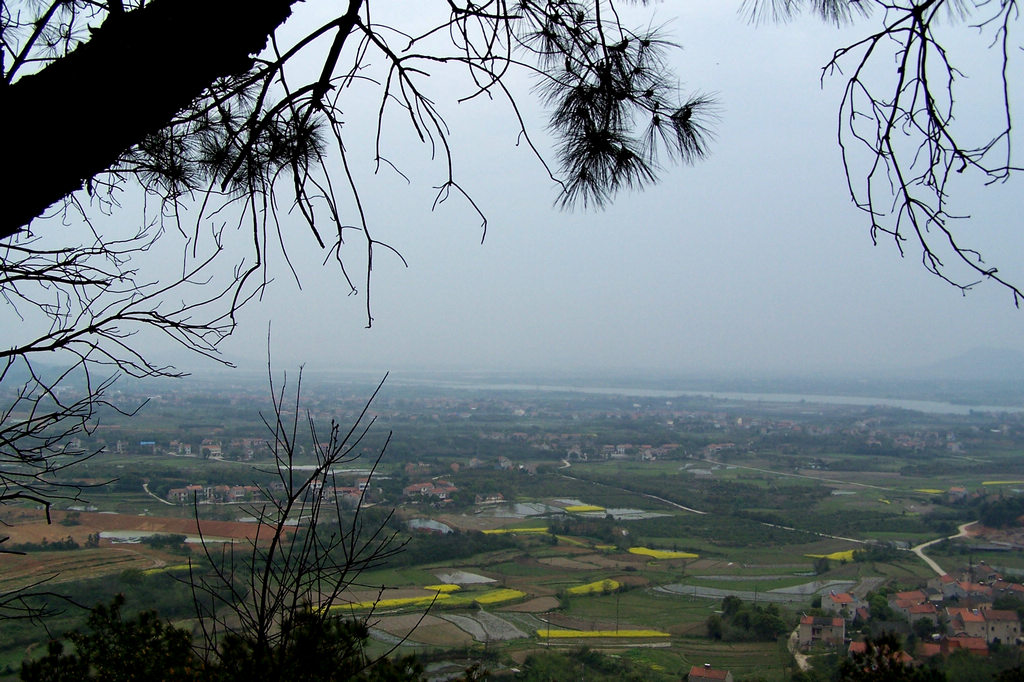 100_9881.jpg