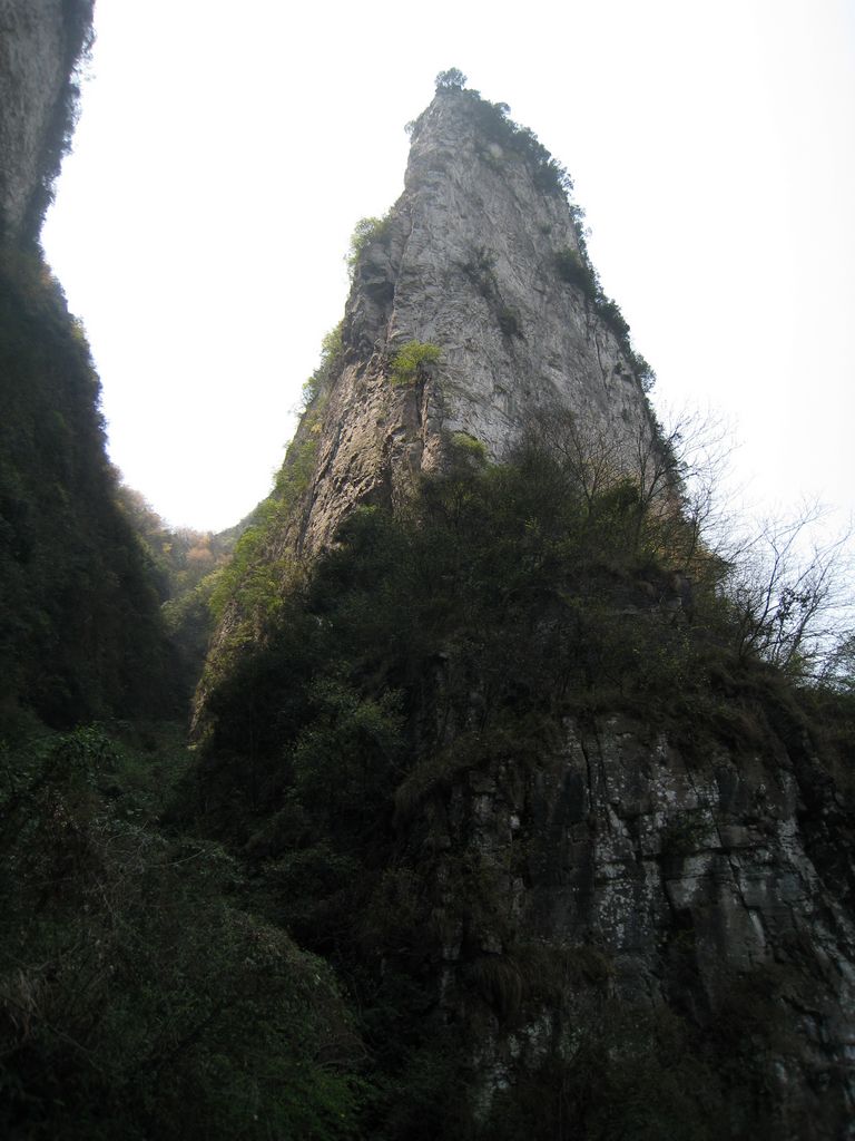 img_0140.jpg