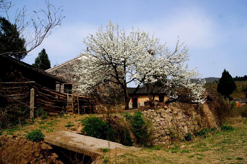dsc08380.jpg