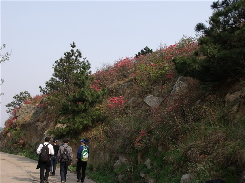 ɽԽ 046.jpg