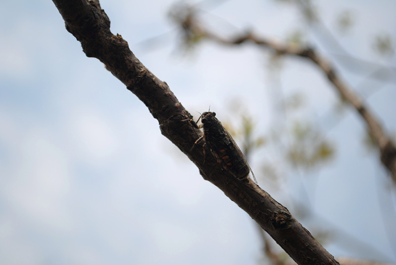 dsc_0594_.jpg