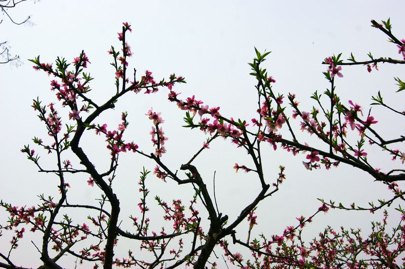 dsc08150.jpg