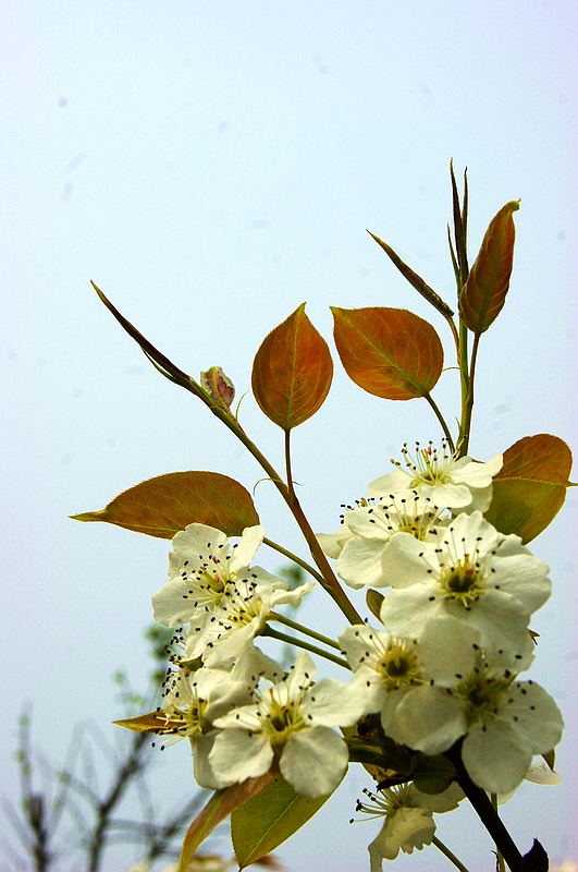 dsc08175.jpg