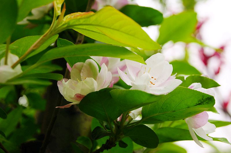dsc08024.jpg
