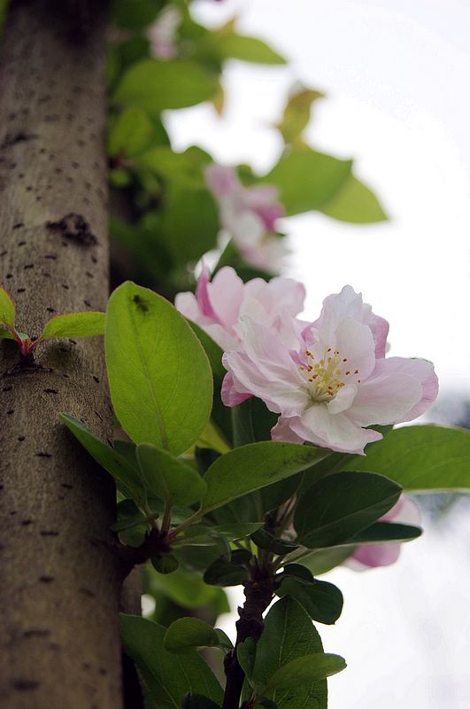 dsc08043.jpg