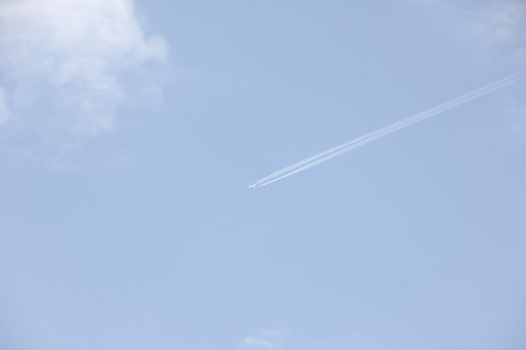 img_8562.jpg