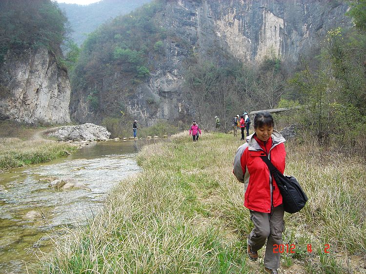 neo_img_dsc08003.jpg