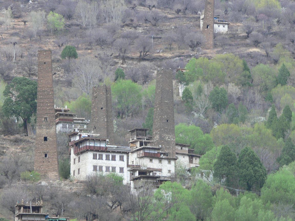 p1120334.jpg