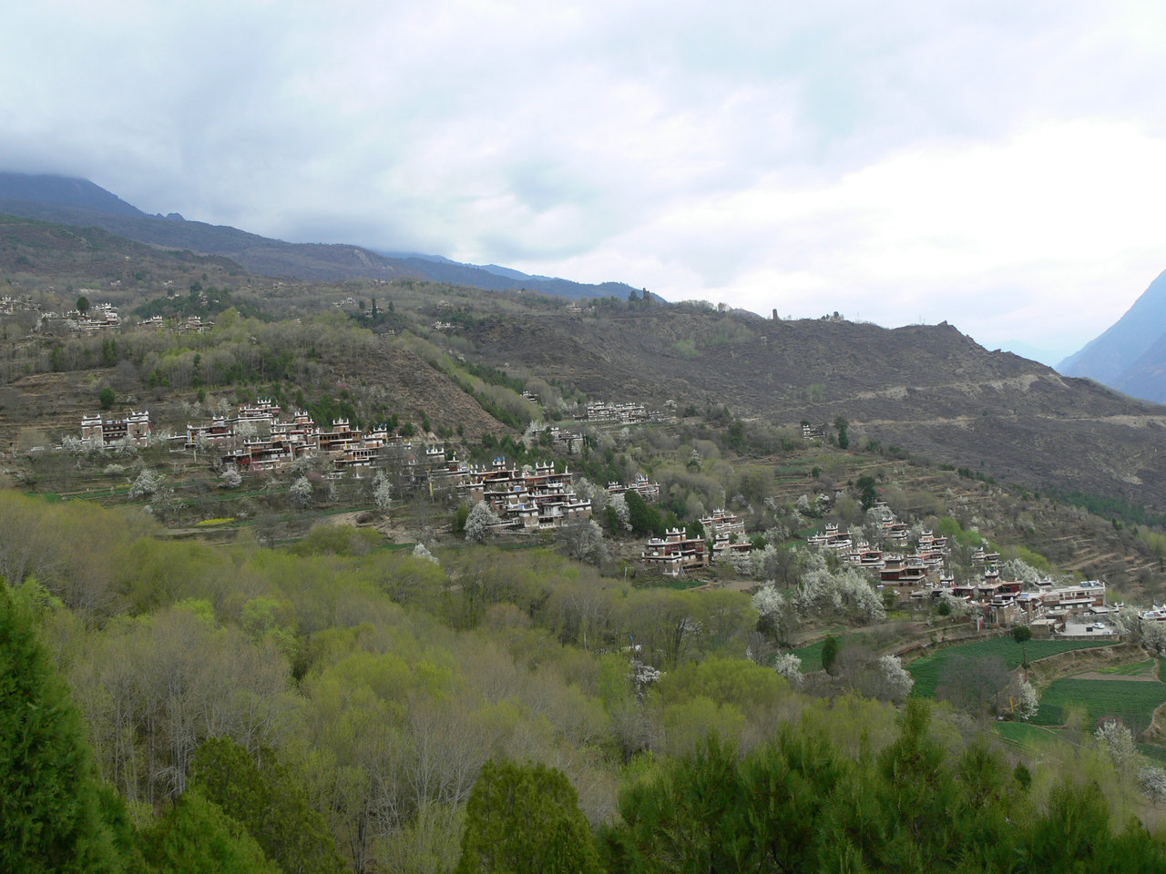 p1120410.jpg