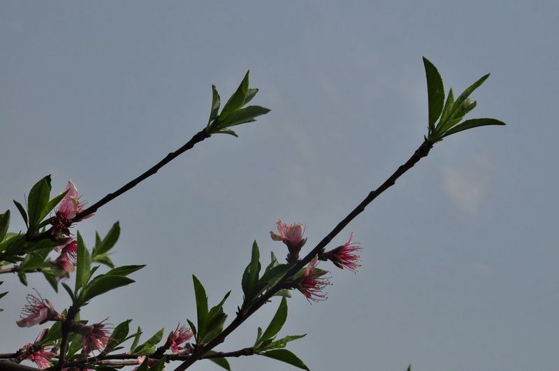 dsc_0129.jpg